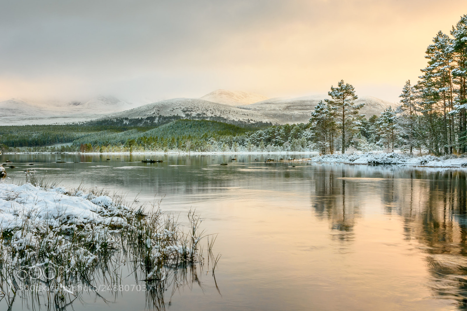 Nikon D7200 sample photo. Loch morlich photography