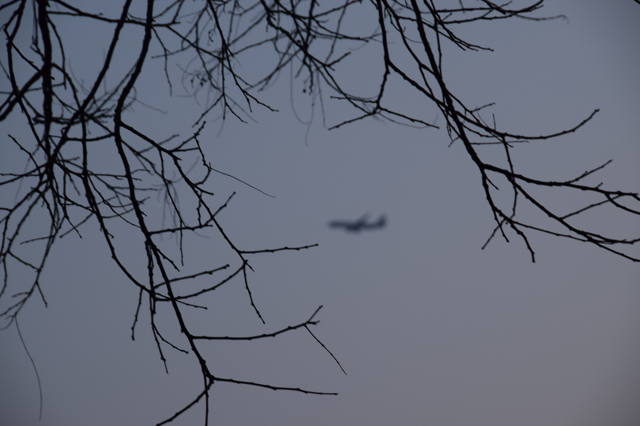 Nikon D5300 sample photo. Beyond sky photography