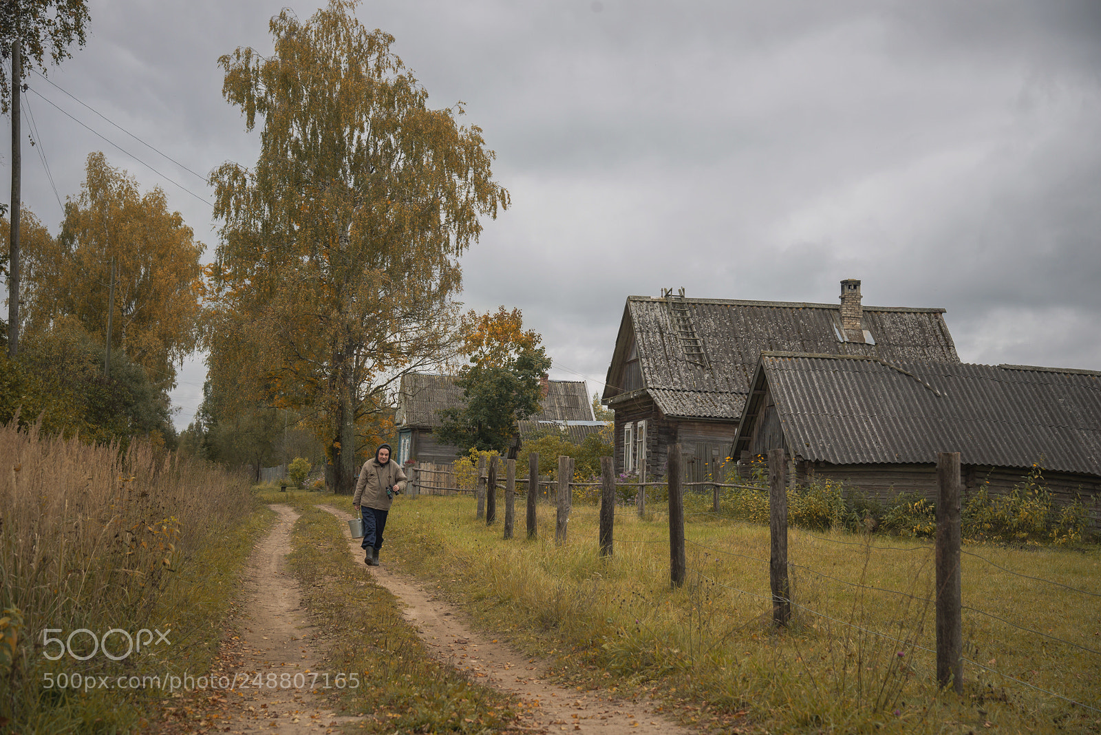 Nikon D610 sample photo. деревенский пейзаж photography