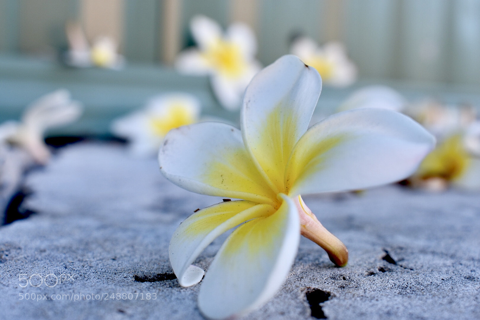 Nikon D3400 sample photo. Untitled photography