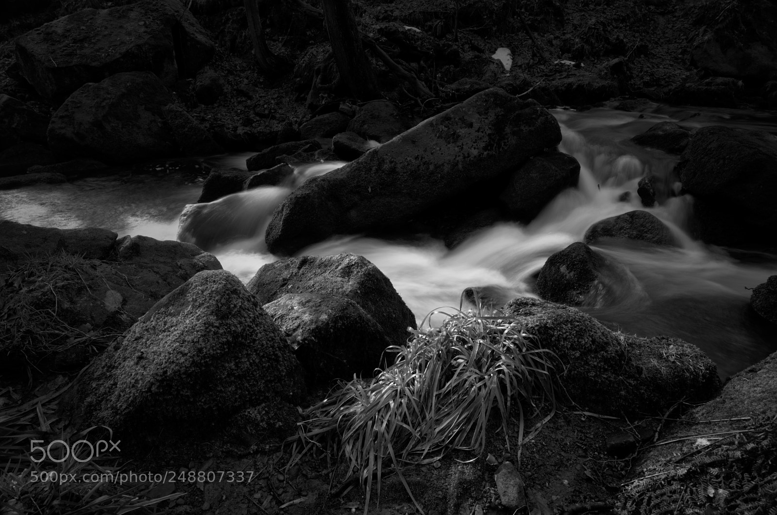 Nikon D5100 sample photo. Padley gorge 2 photography
