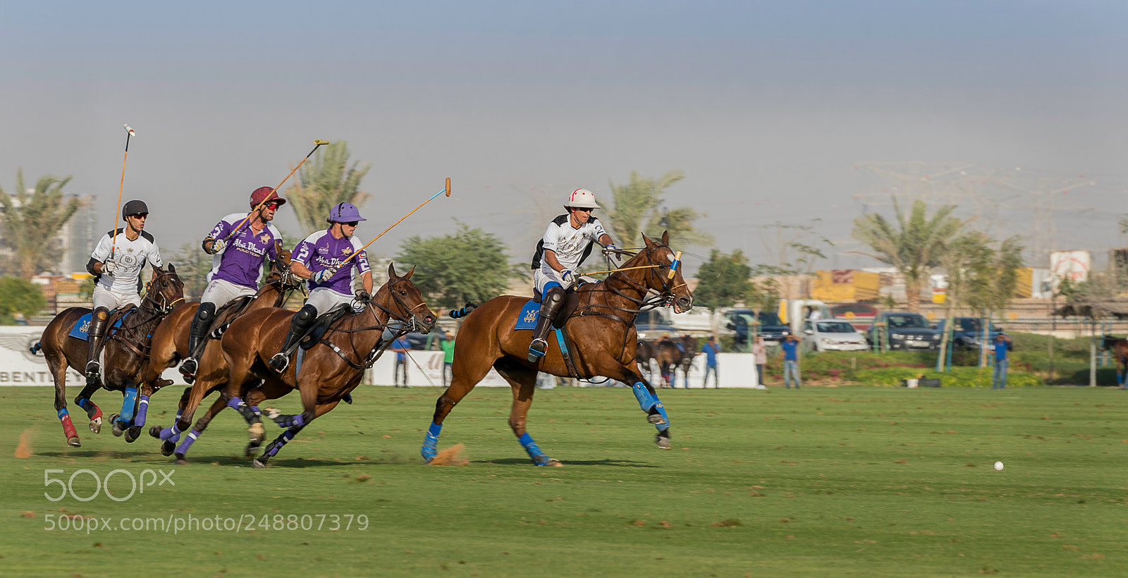 Nikon D810 sample photo. Polo at the st photography