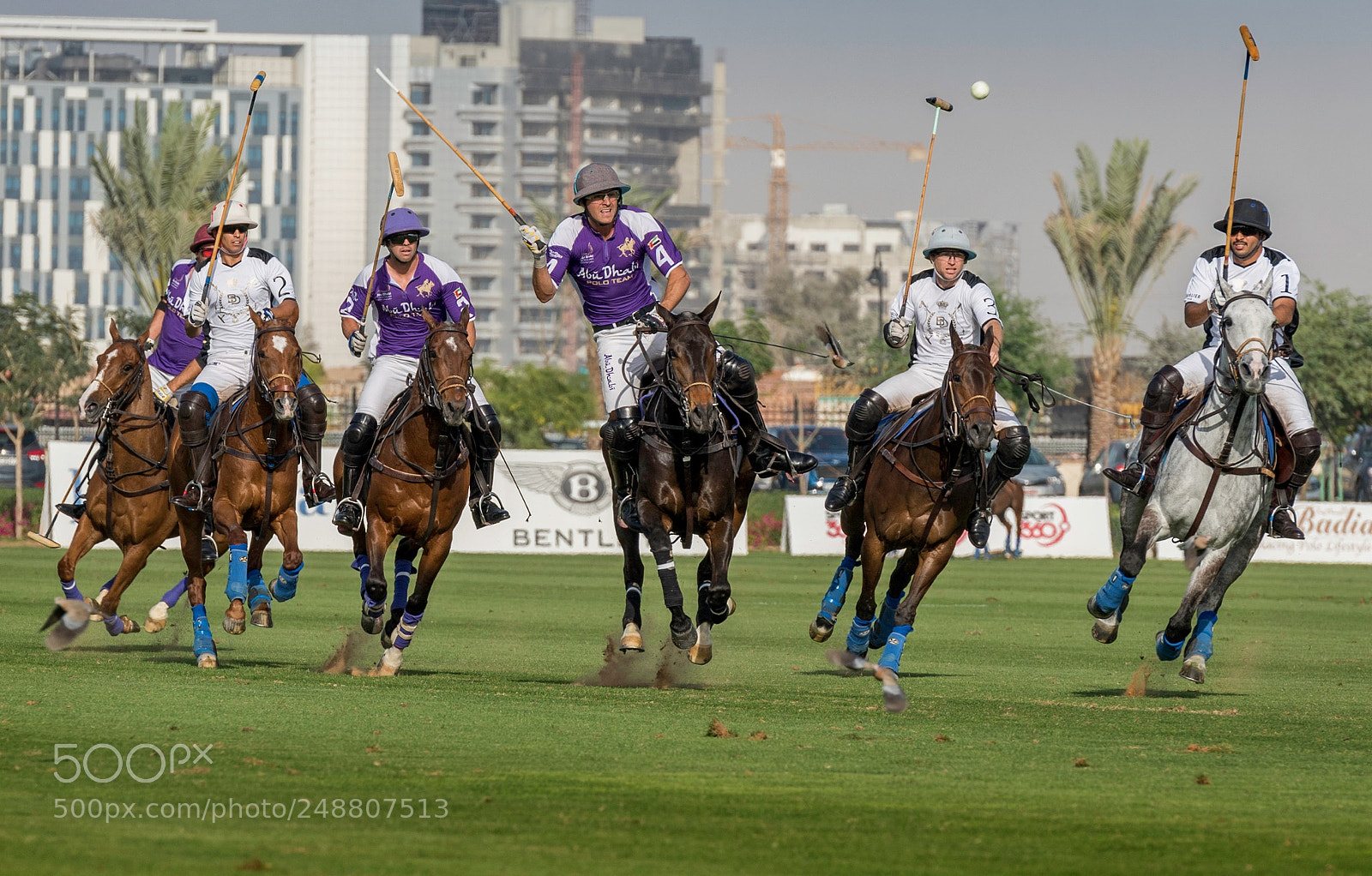 Nikon D810 sample photo. Polo at the st photography