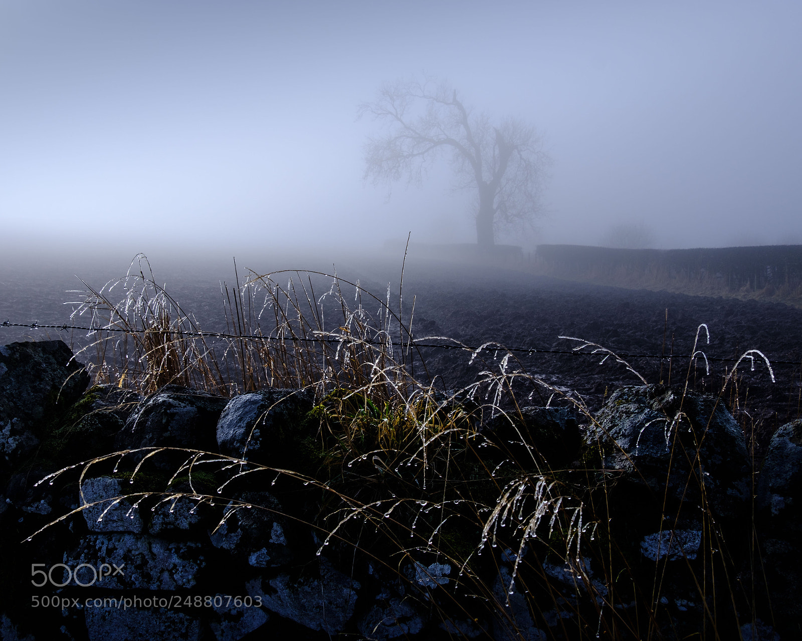 Fujifilm X-T2 sample photo. Freezing fog photography