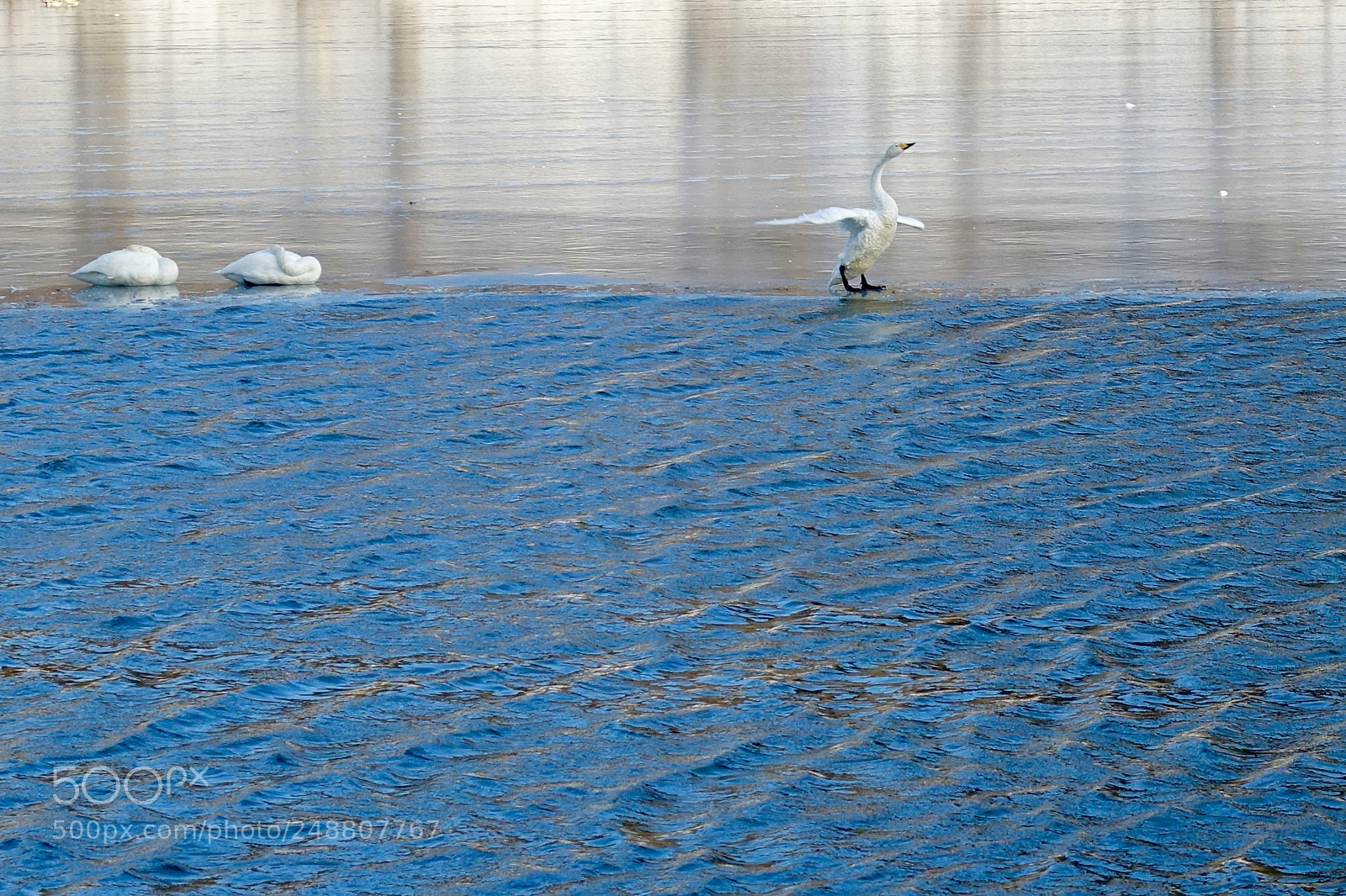 Sony Cyber-shot DSC-RX100 IV sample photo. White and blue photography