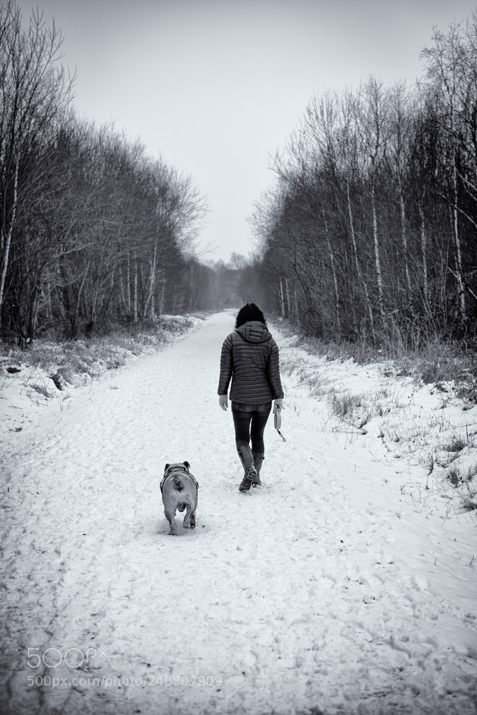 Nikon D610 sample photo. Winter walk photography