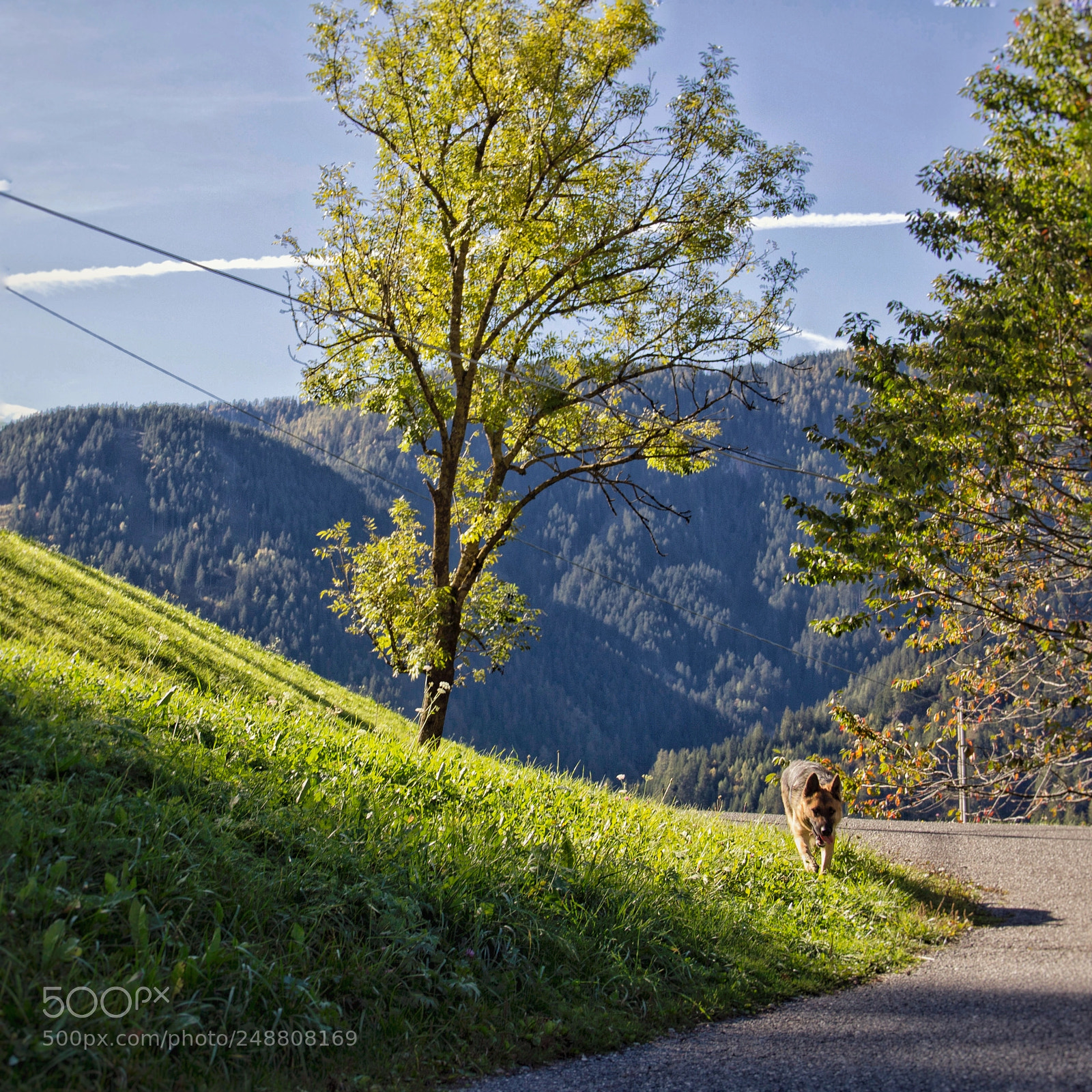 Canon EOS 60D sample photo. Adventure photography