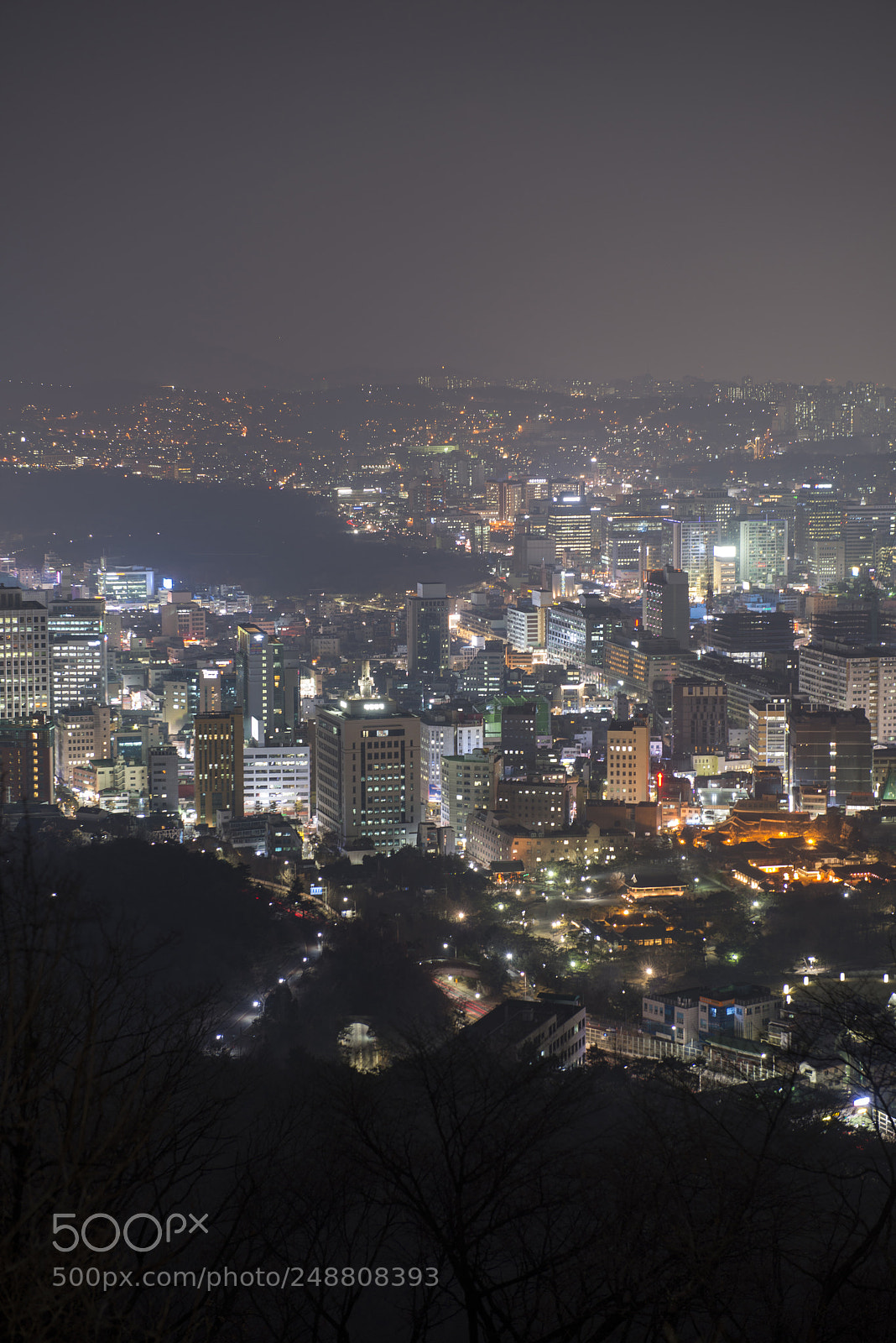 Nikon D800 sample photo. Untitled photography