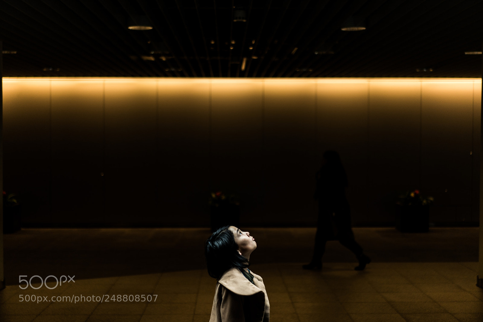 Sony a9 sample photo. Look up photography