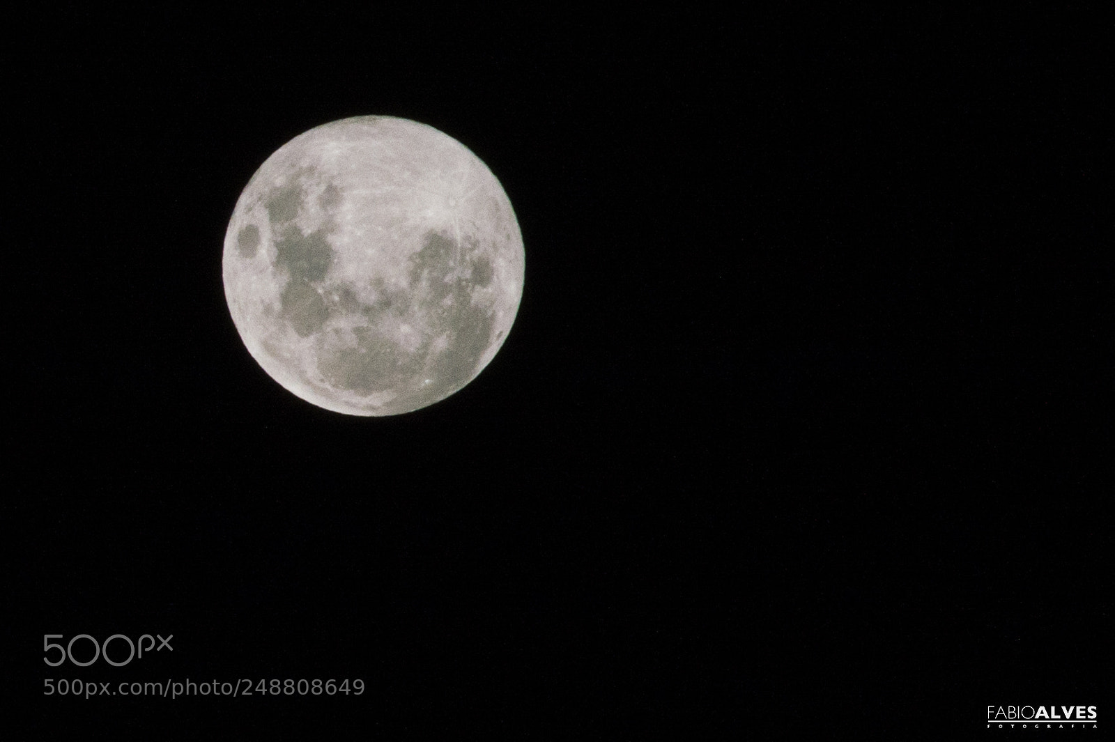 Nikon D3200 sample photo. Untitled photography