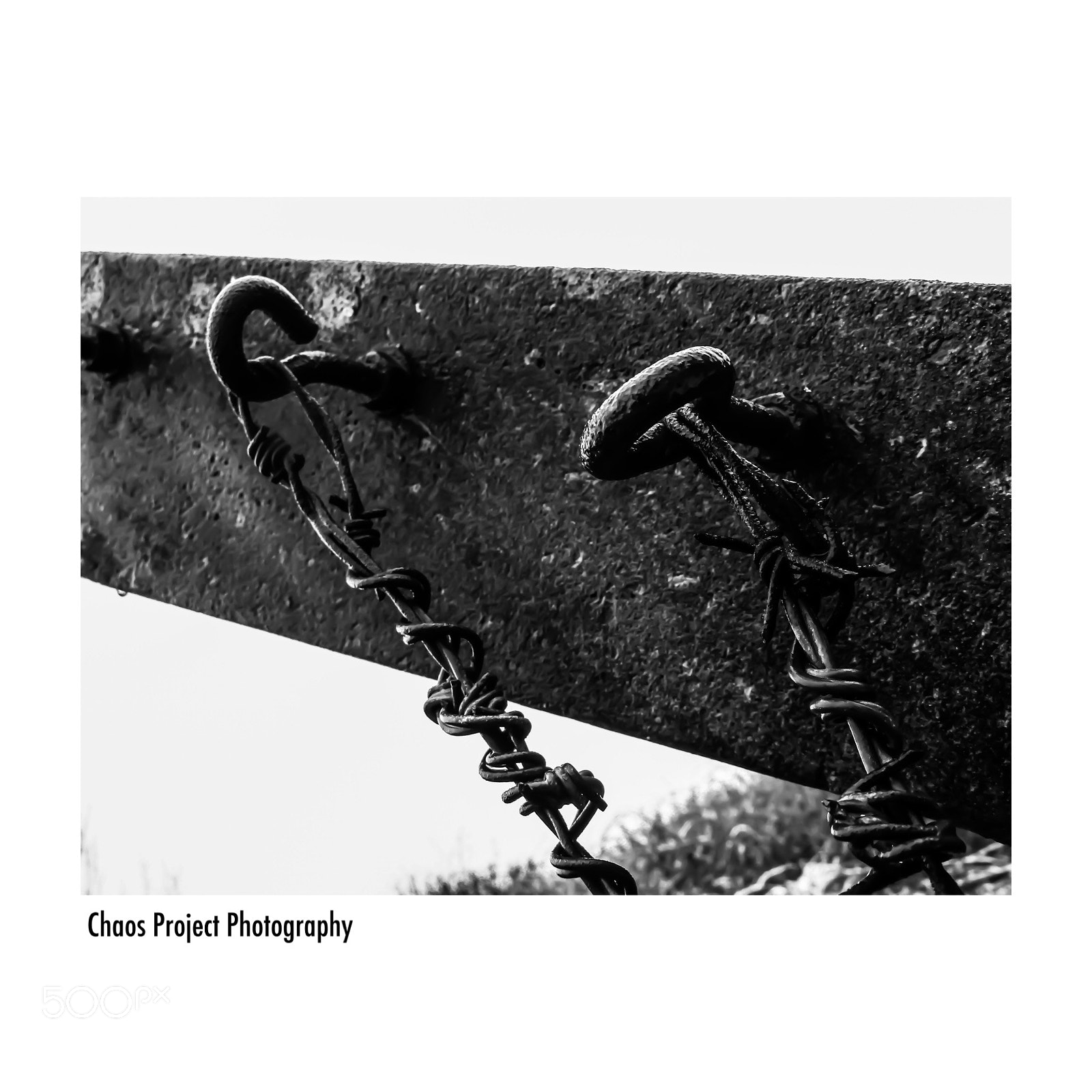 Canon POWERSHOT SX430 IS sample photo. Break through photography