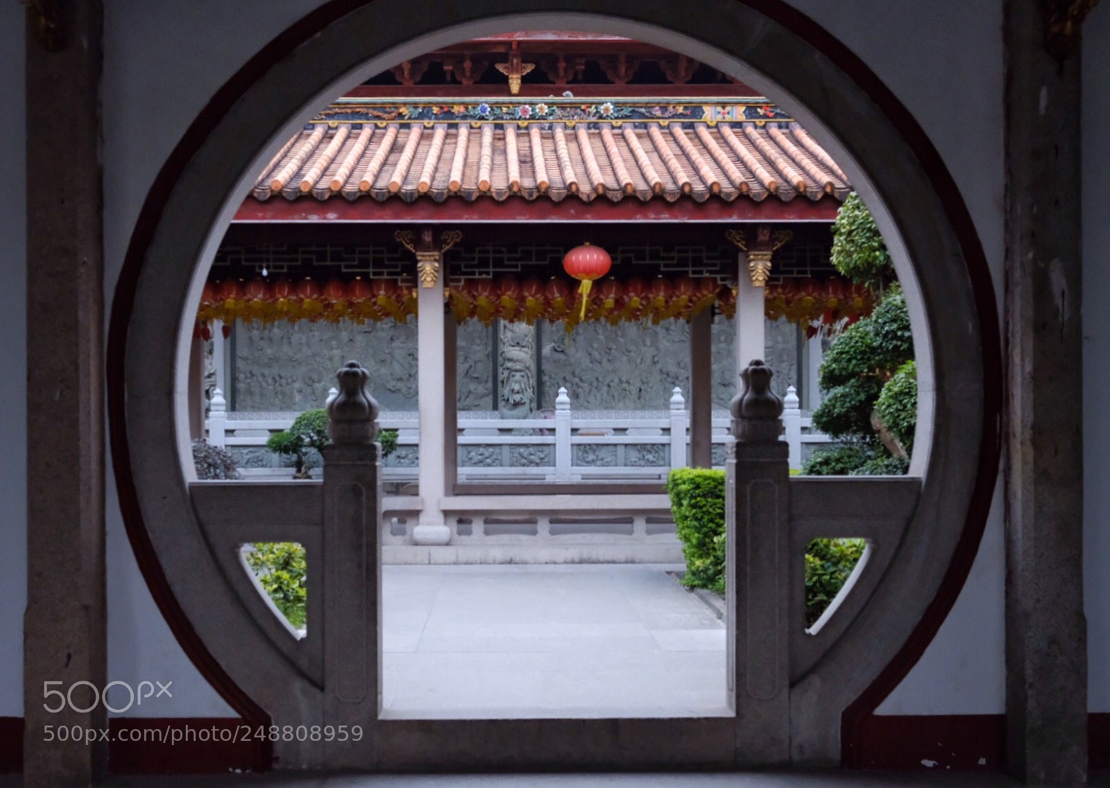 Fujifilm X-Pro2 sample photo. Untitled photography