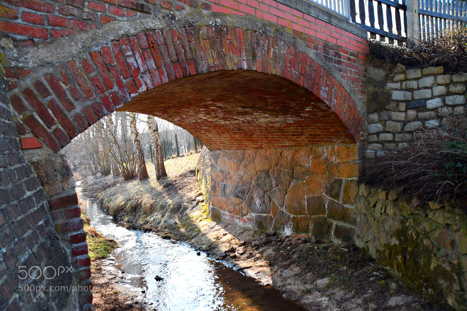 Nikon D500 sample photo. ...under the brigde... photography