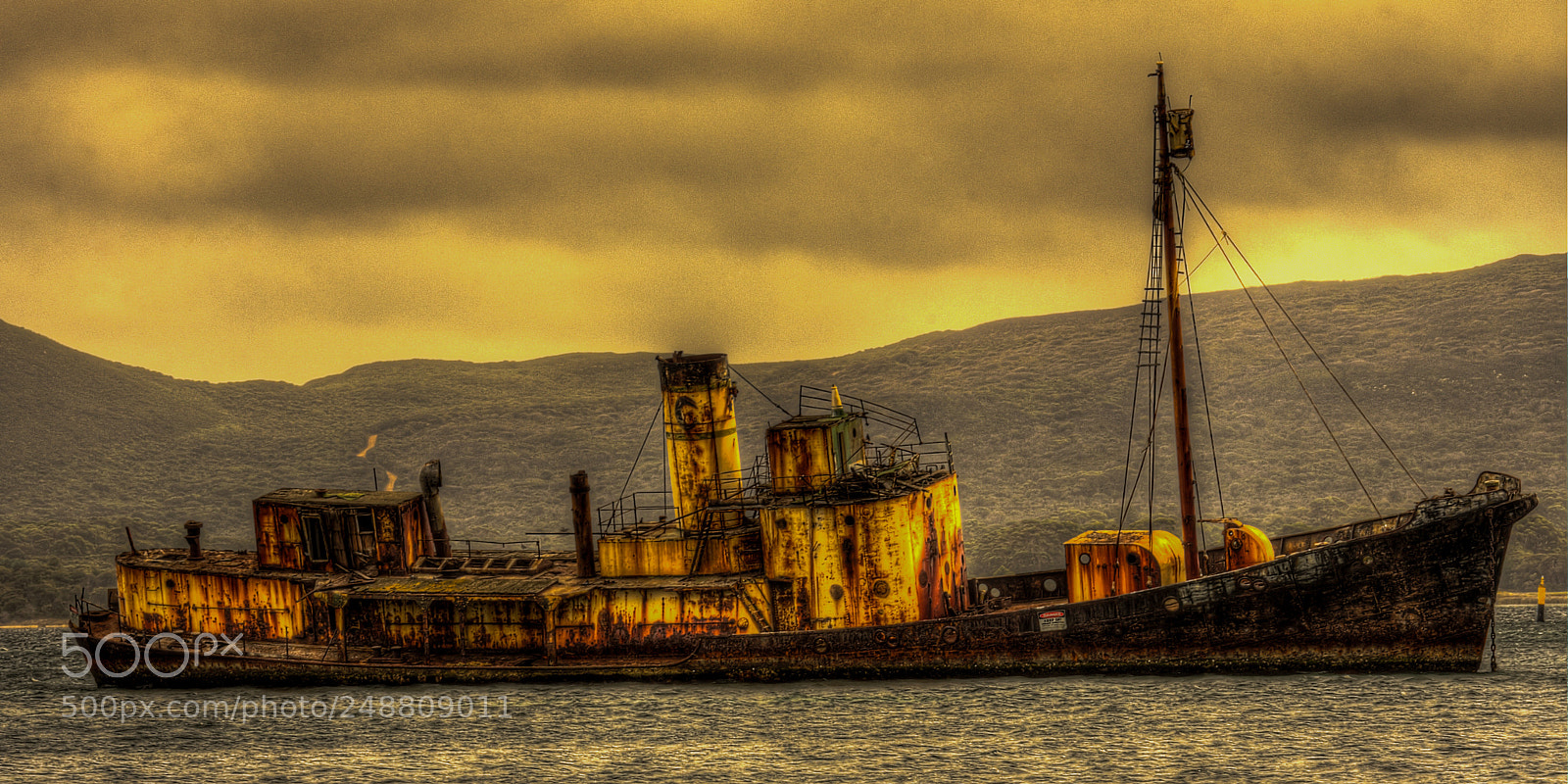 Nikon D7200 sample photo. Whale chaser - cheynes photography