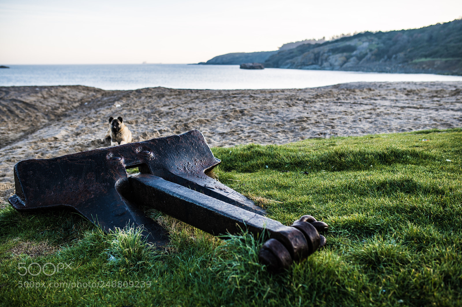 Nikon D850 sample photo. Anchor winter manager on photography