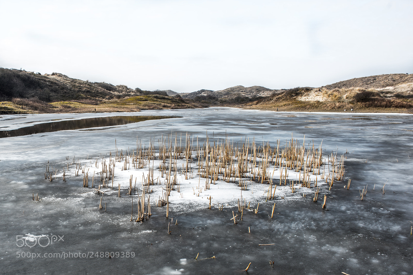 Nikon D800 sample photo. Last day of winter photography