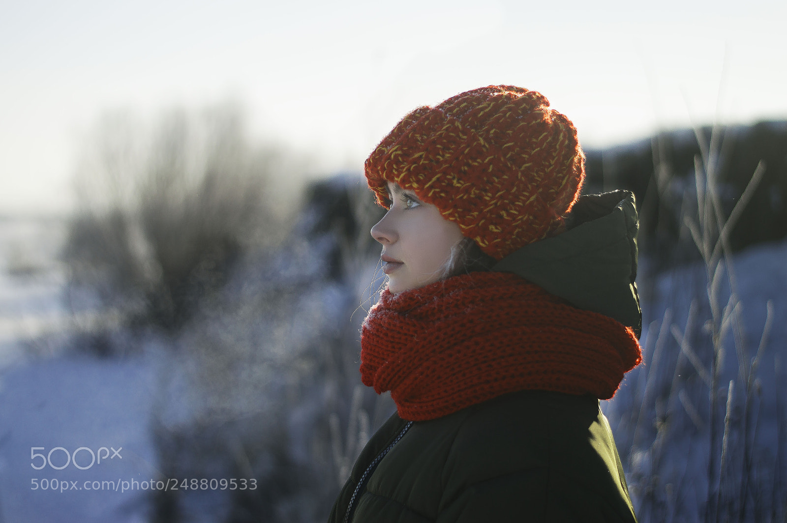 Nikon D3200 sample photo. Winter is still here photography