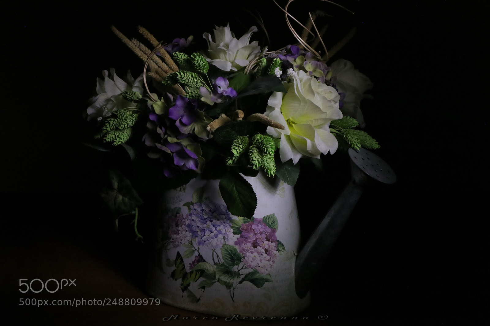 Canon EOS 80D sample photo. Composition photography