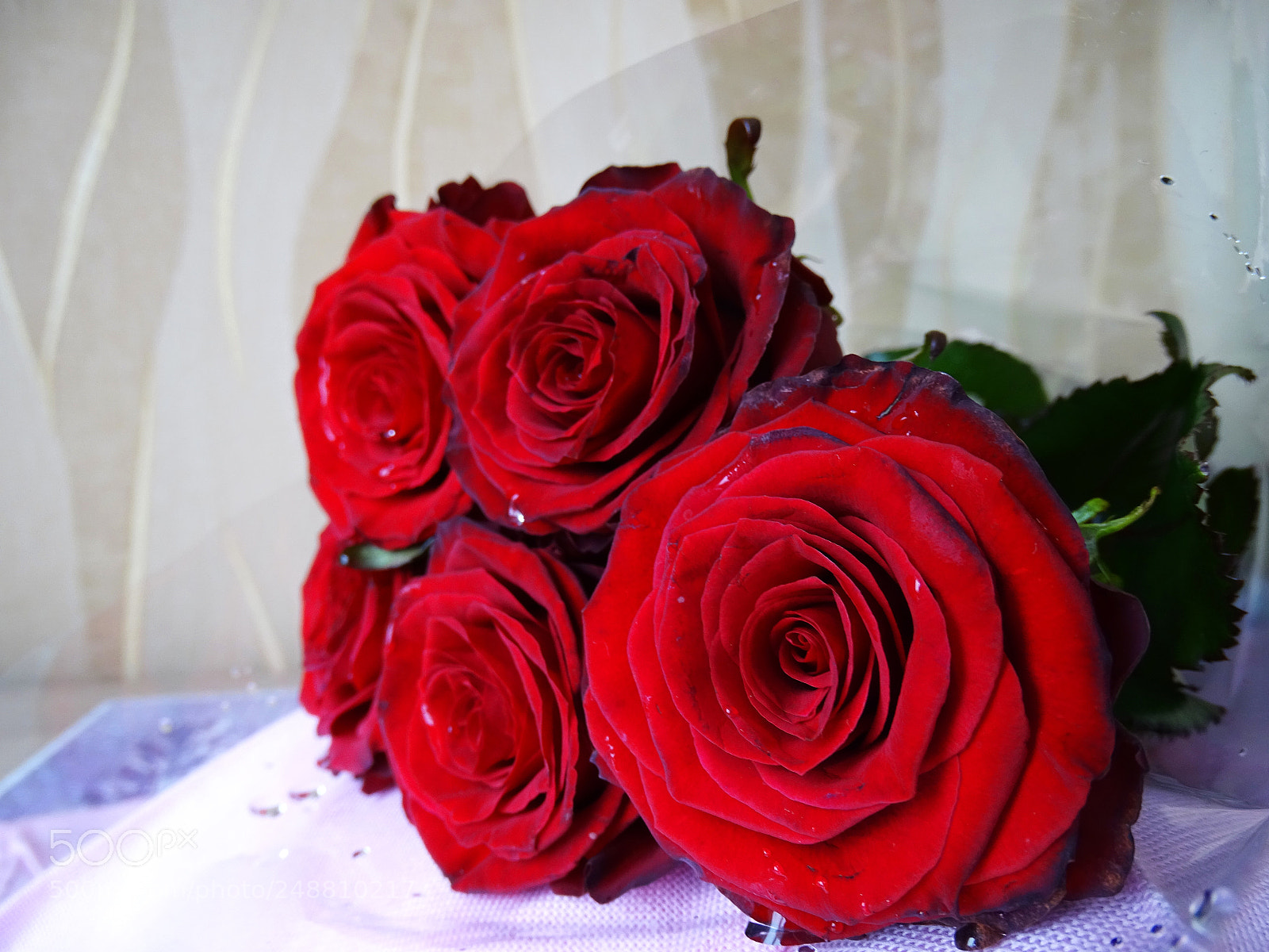 Sony DSC-HX400 sample photo. 9525.jpg photography