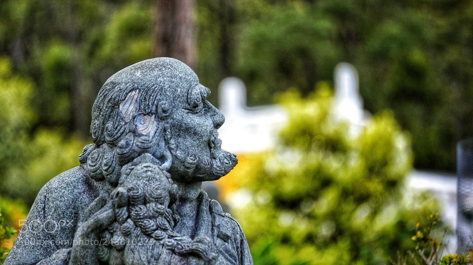 Sony Alpha NEX-5N sample photo. Untitled photography