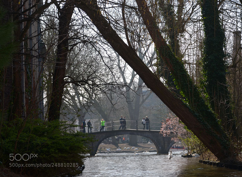 Nikon D7000 sample photo. The wijngaard bridge… photography