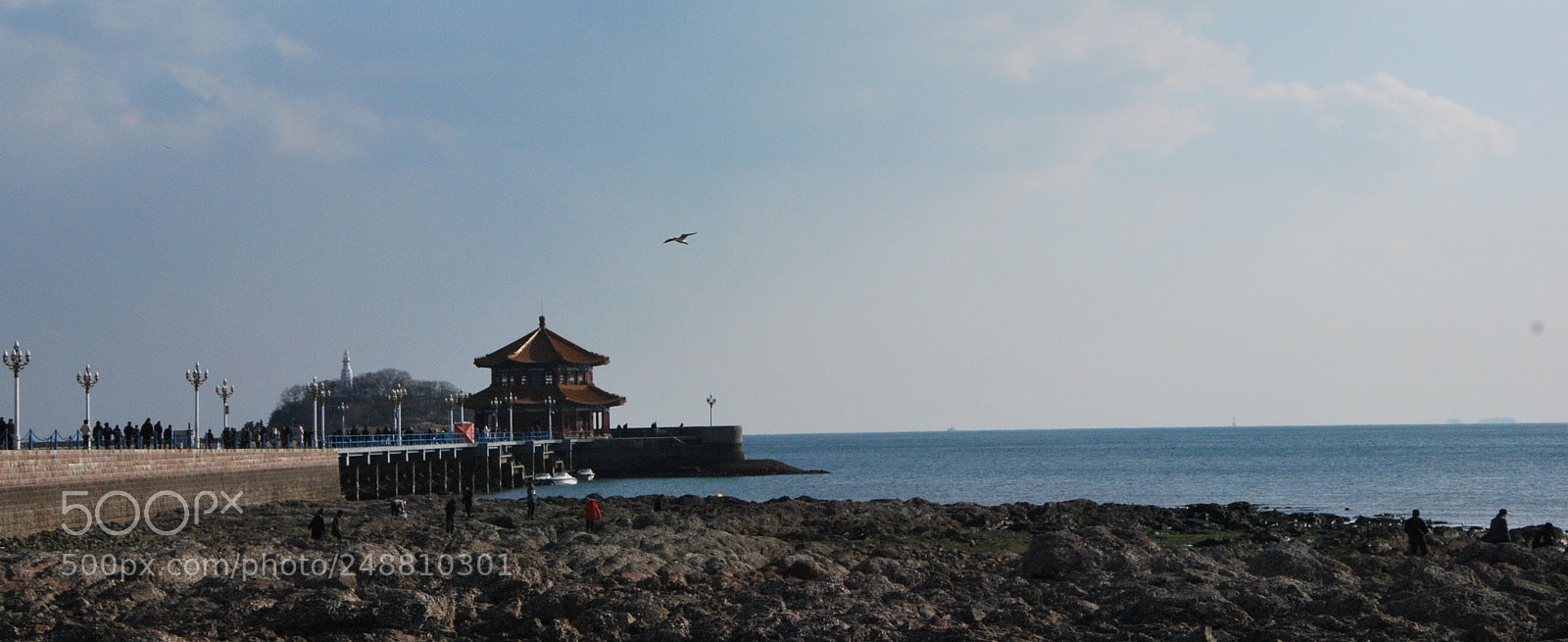 Nikon D60 sample photo. 青岛 栈桥 photography