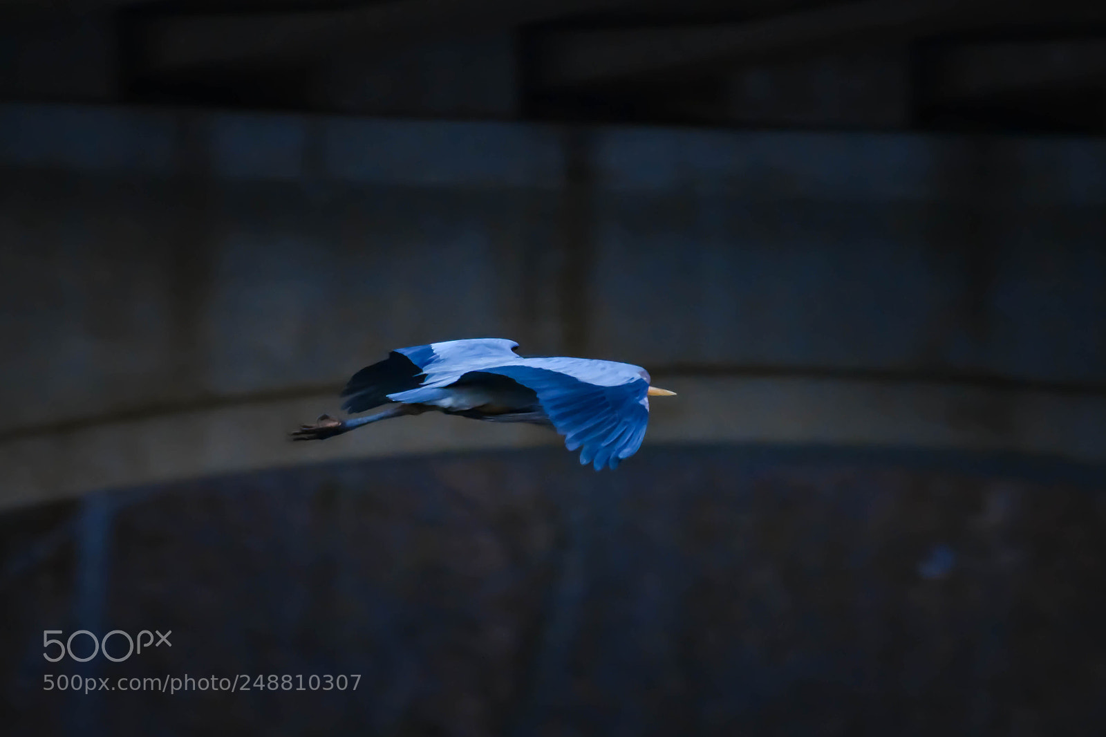 Nikon D3400 sample photo. "blue" me away photography