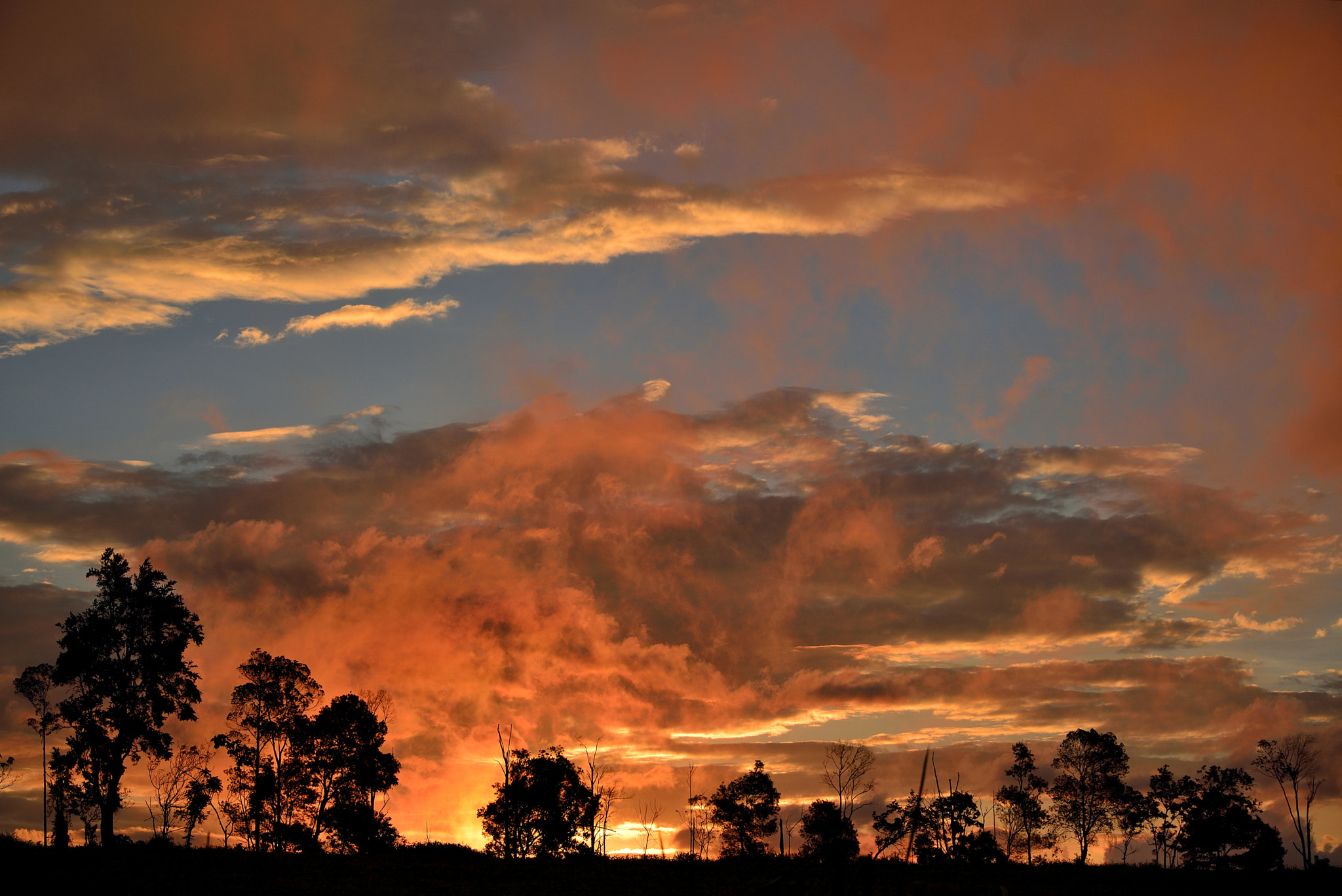 Nikon D610 sample photo. After the rain! photography
