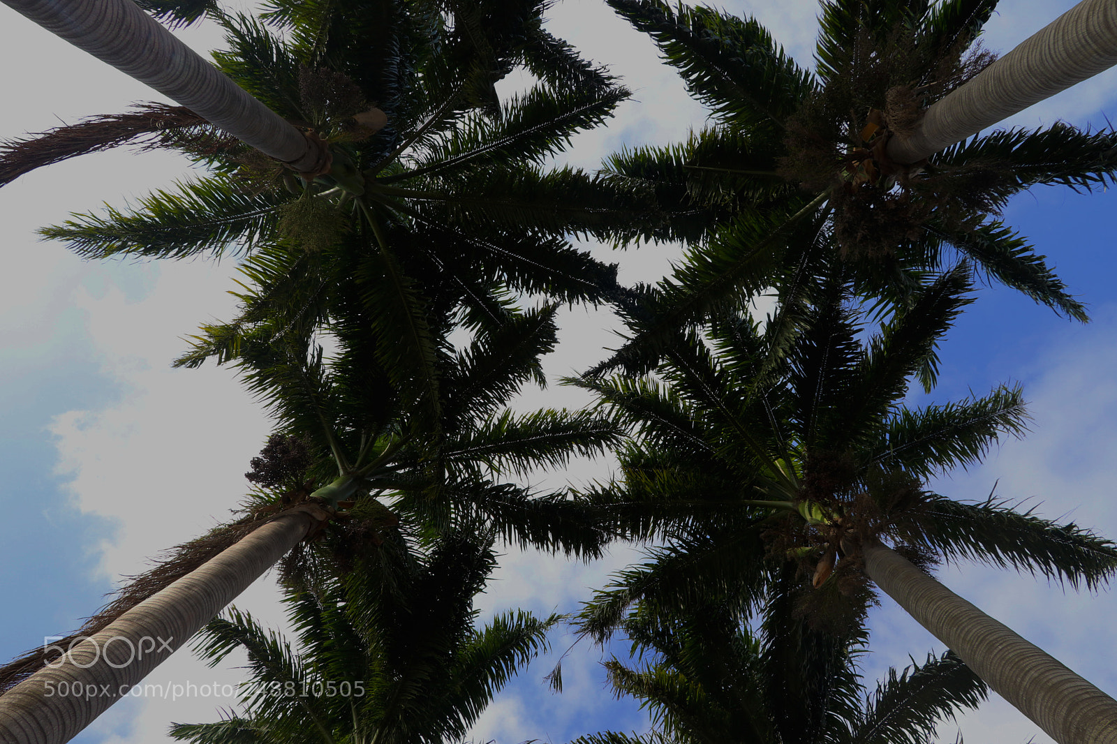 Canon EOS 80D sample photo. Point of view photography