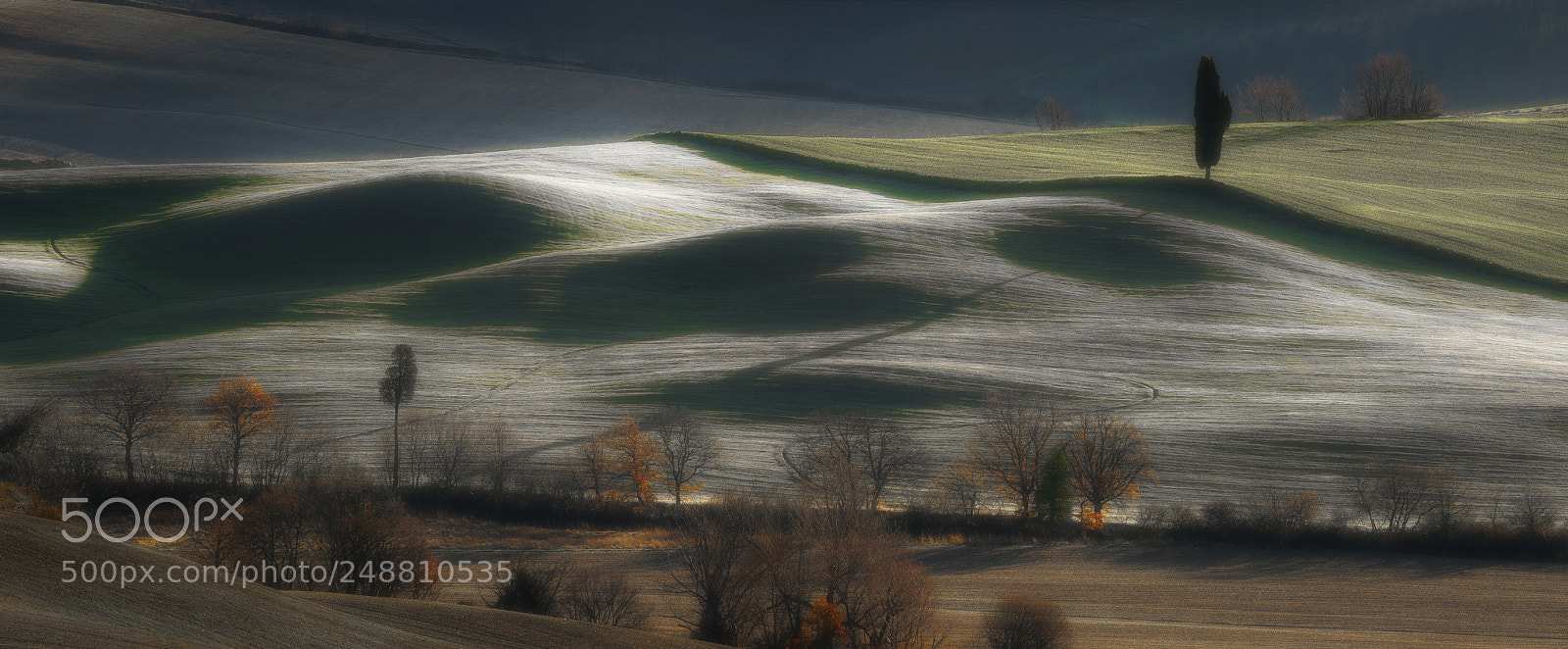 Nikon D810 sample photo. Long winter shadows photography