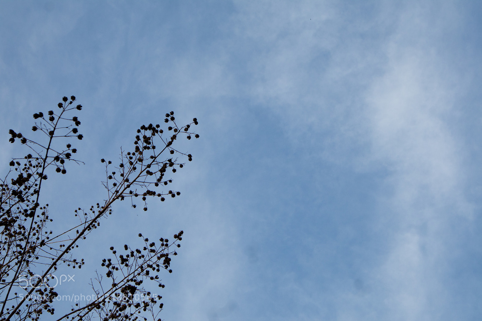 Canon EOS M3 sample photo. Untitled photography