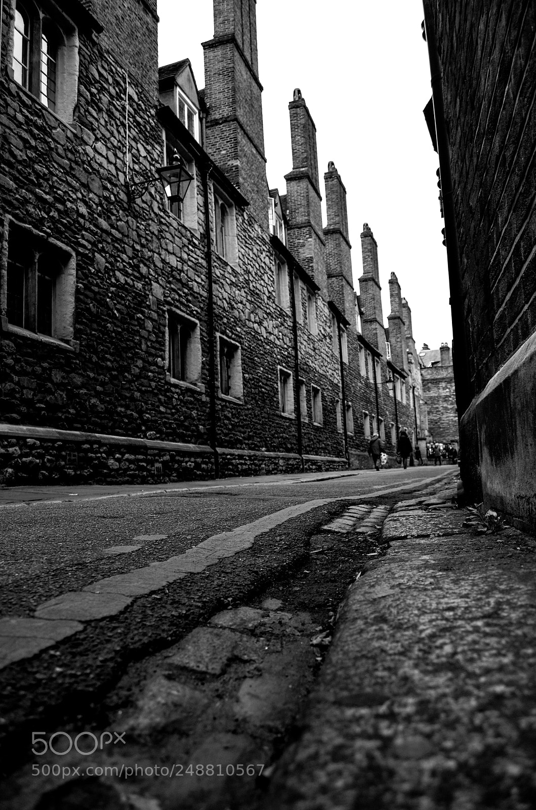 Nikon D5100 sample photo. Black&white photography