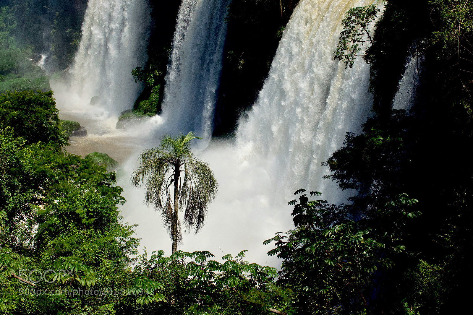 Sony Cyber-shot DSC-RX10 IV sample photo. Cataratas do iguazu 001 photography