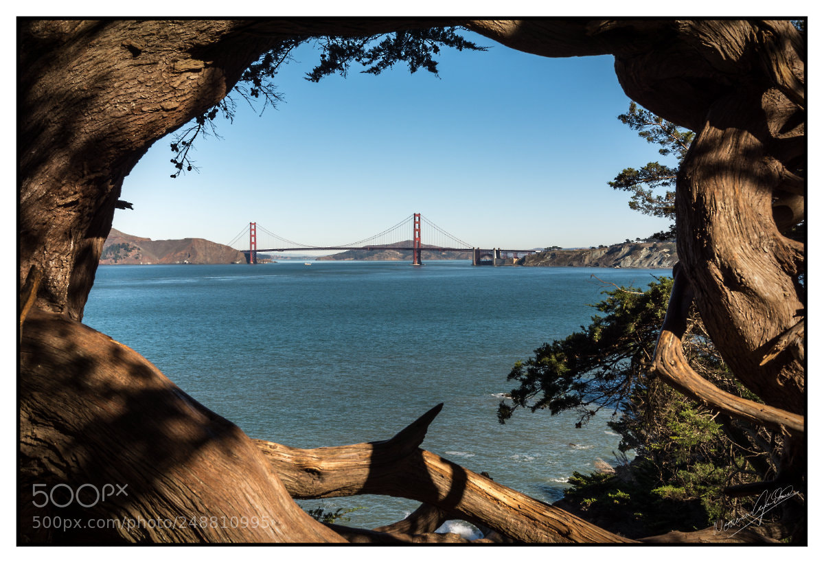 Nikon D7100 sample photo. Golden gate bridge frame photography