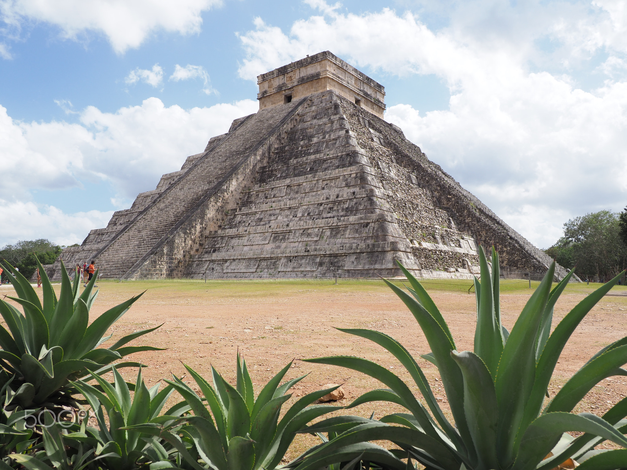 Pyramid and agaves in Chichen Itza mayan town in Mexico