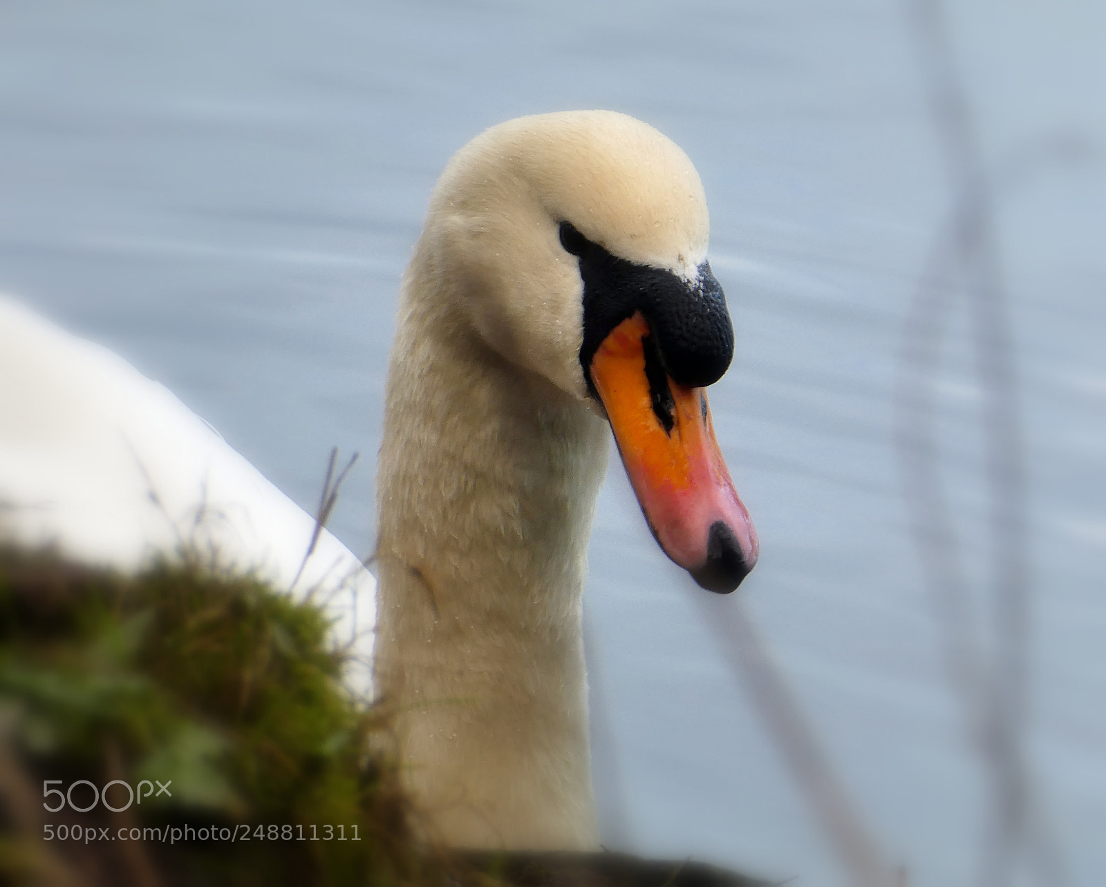 Panasonic DMC-TZ81 sample photo. Blour photography