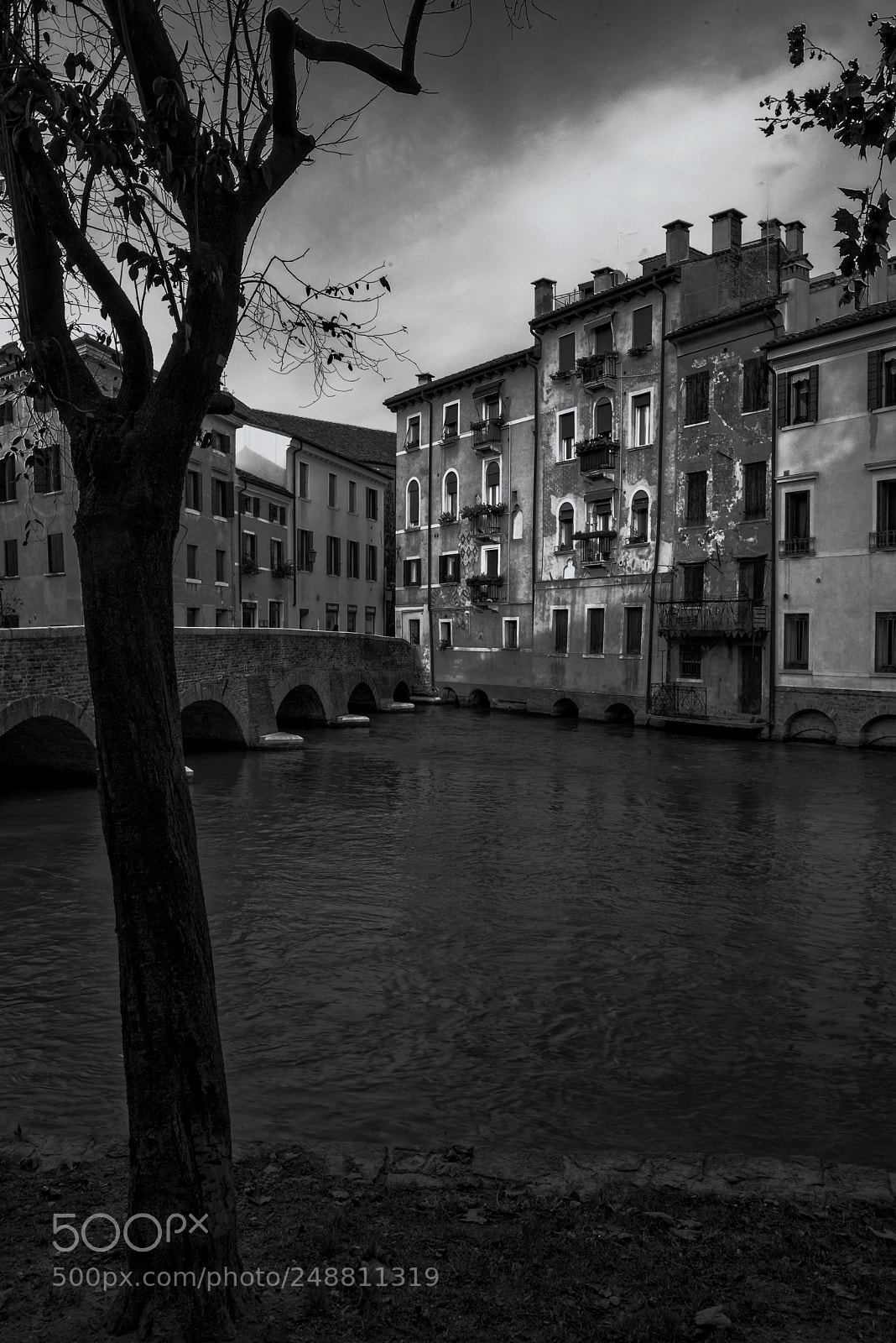 Nikon D800 sample photo. Treviso photography