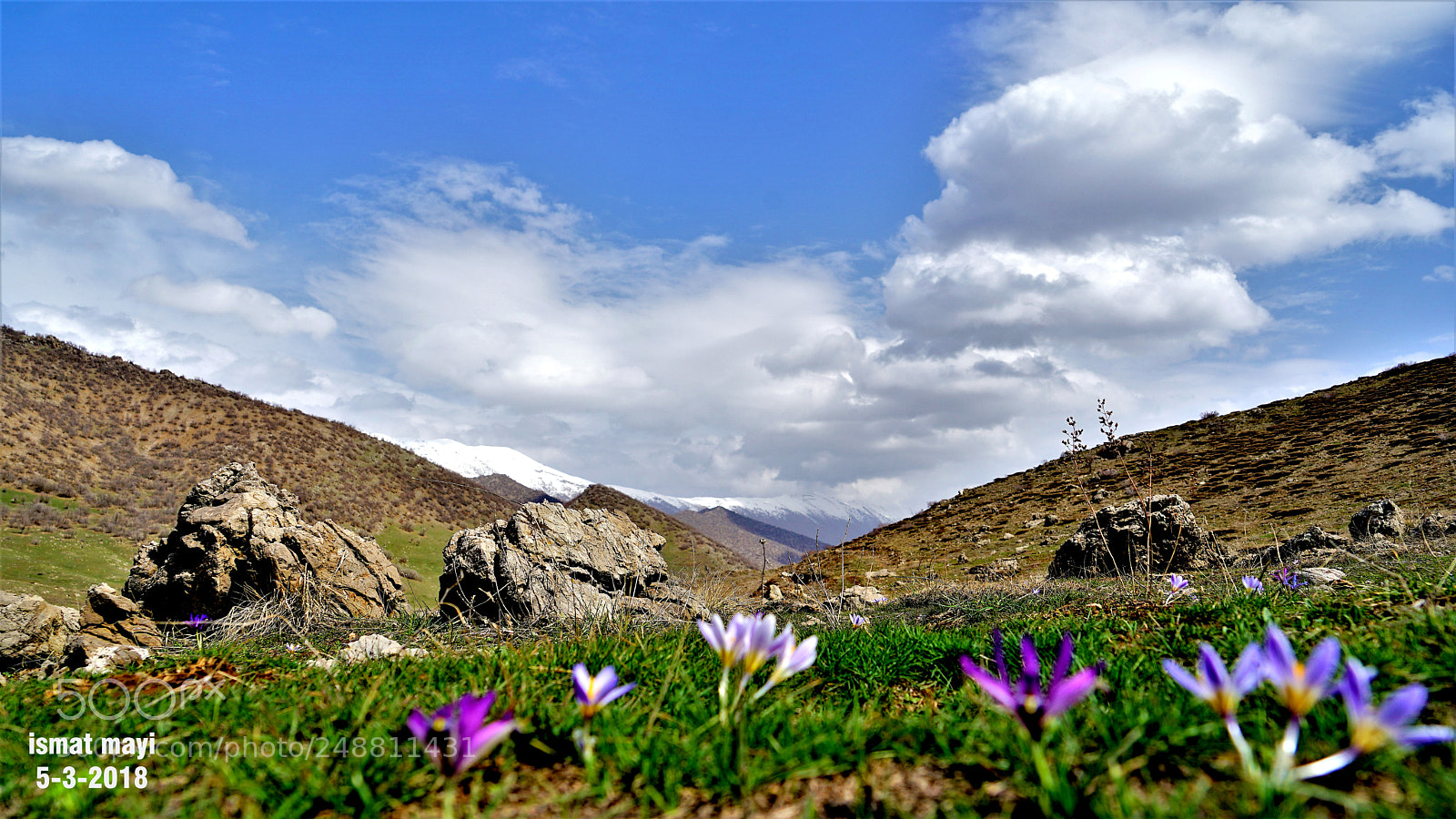 Sony a7 II sample photo. 1.jpg photography