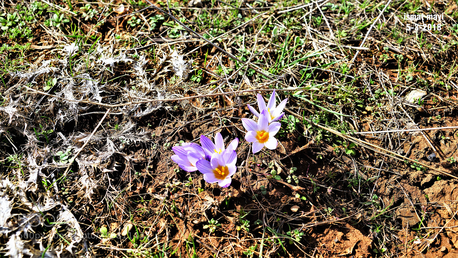 Sony a7 II sample photo. 12.jpg photography