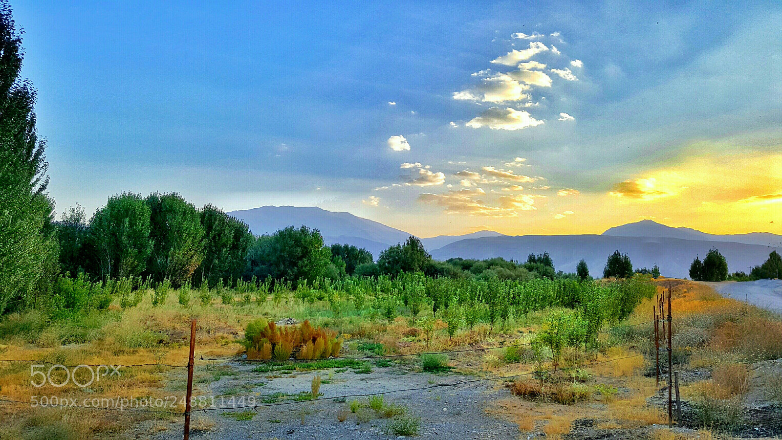 Samsung Galaxy Note5 sample photo. Untitled photography