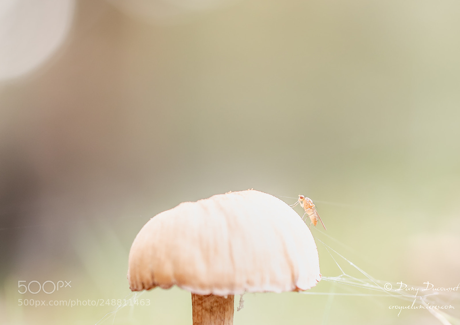 Canon EOS 5DS R sample photo. L'alpiniste photography