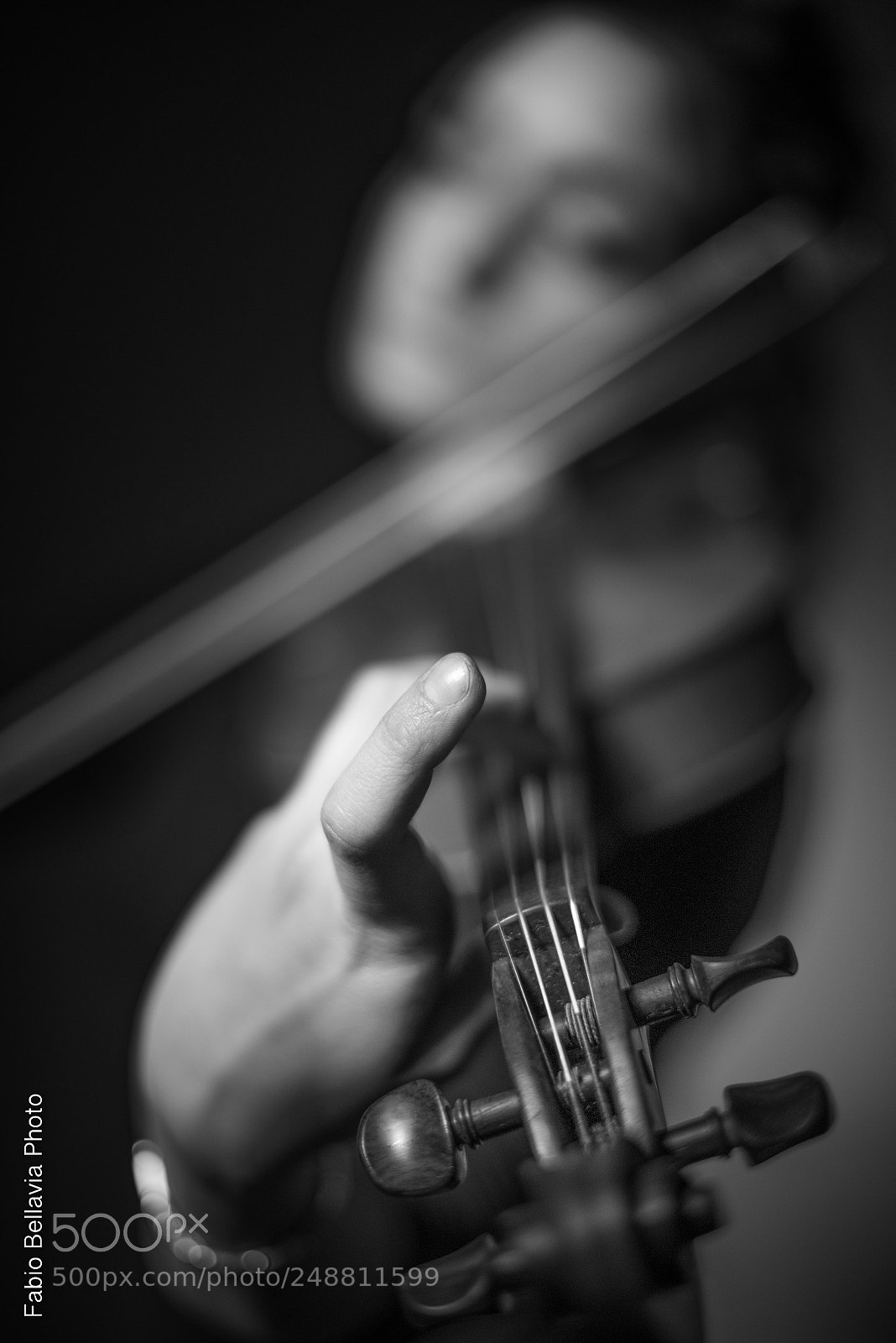 Nikon D800 sample photo. Vittoria ix photography
