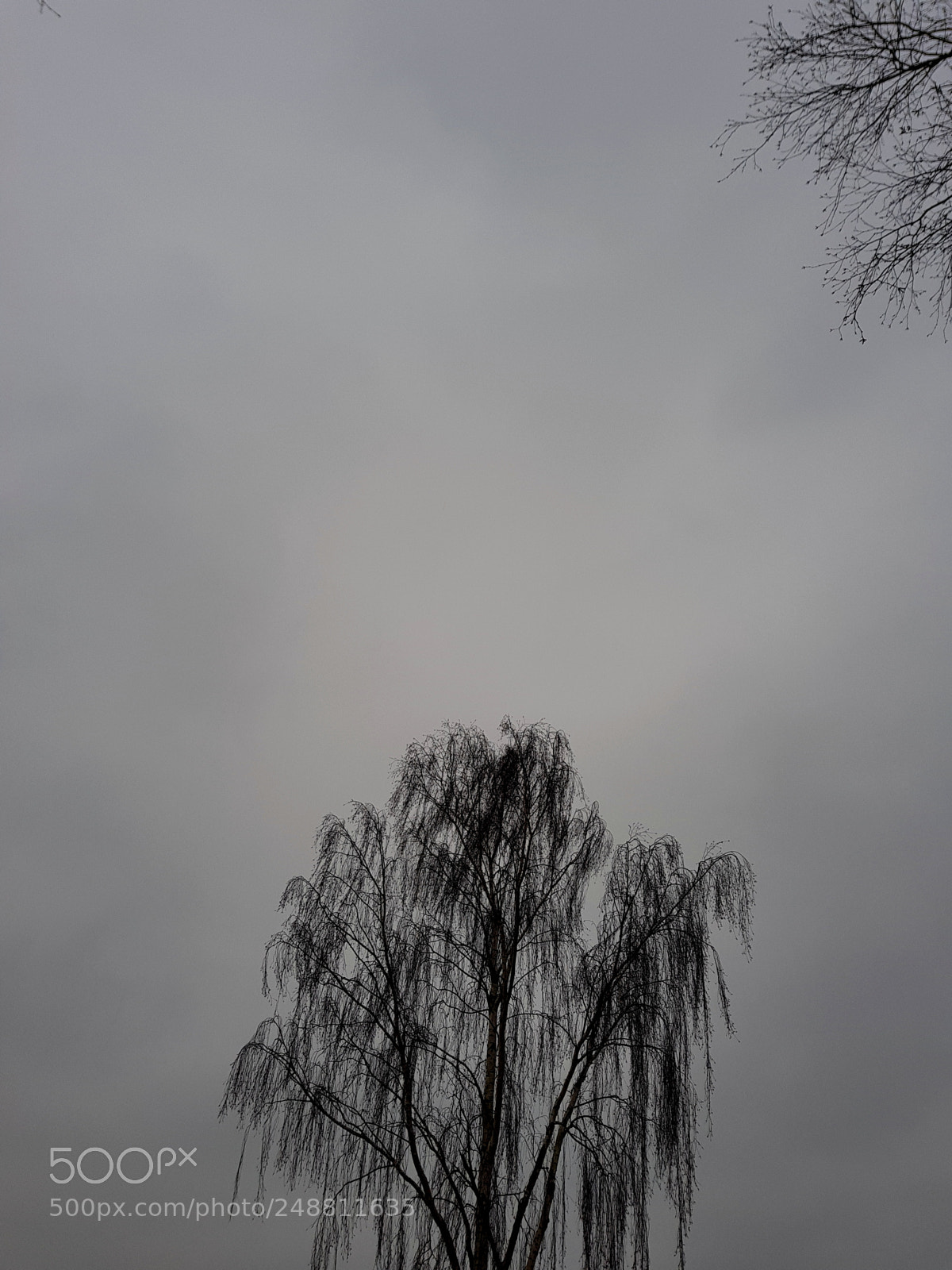 Samsung Galaxy S8 sample photo. Rainy day photography