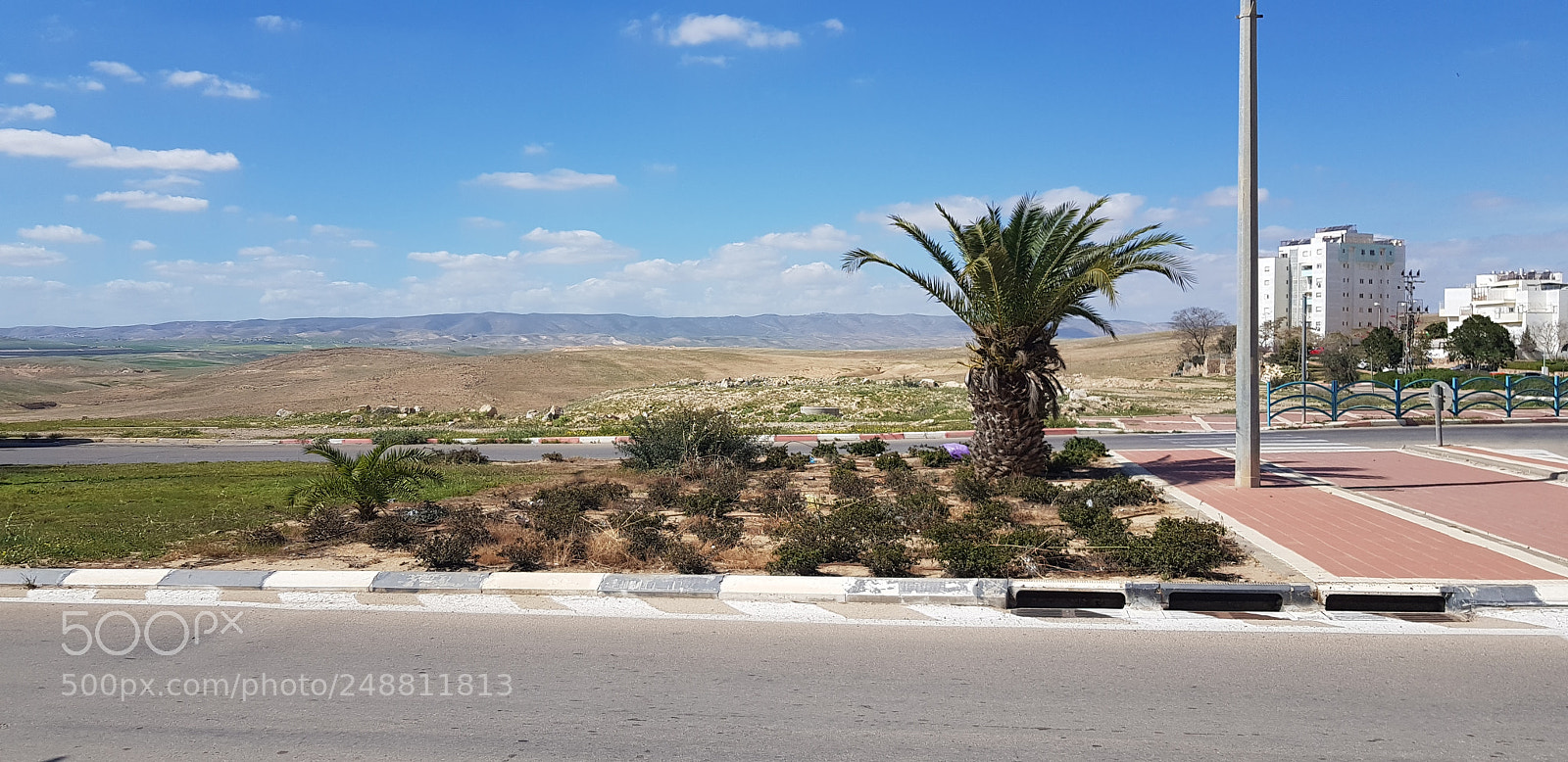 Samsung Galaxy S8+ sample photo. Untitled photography