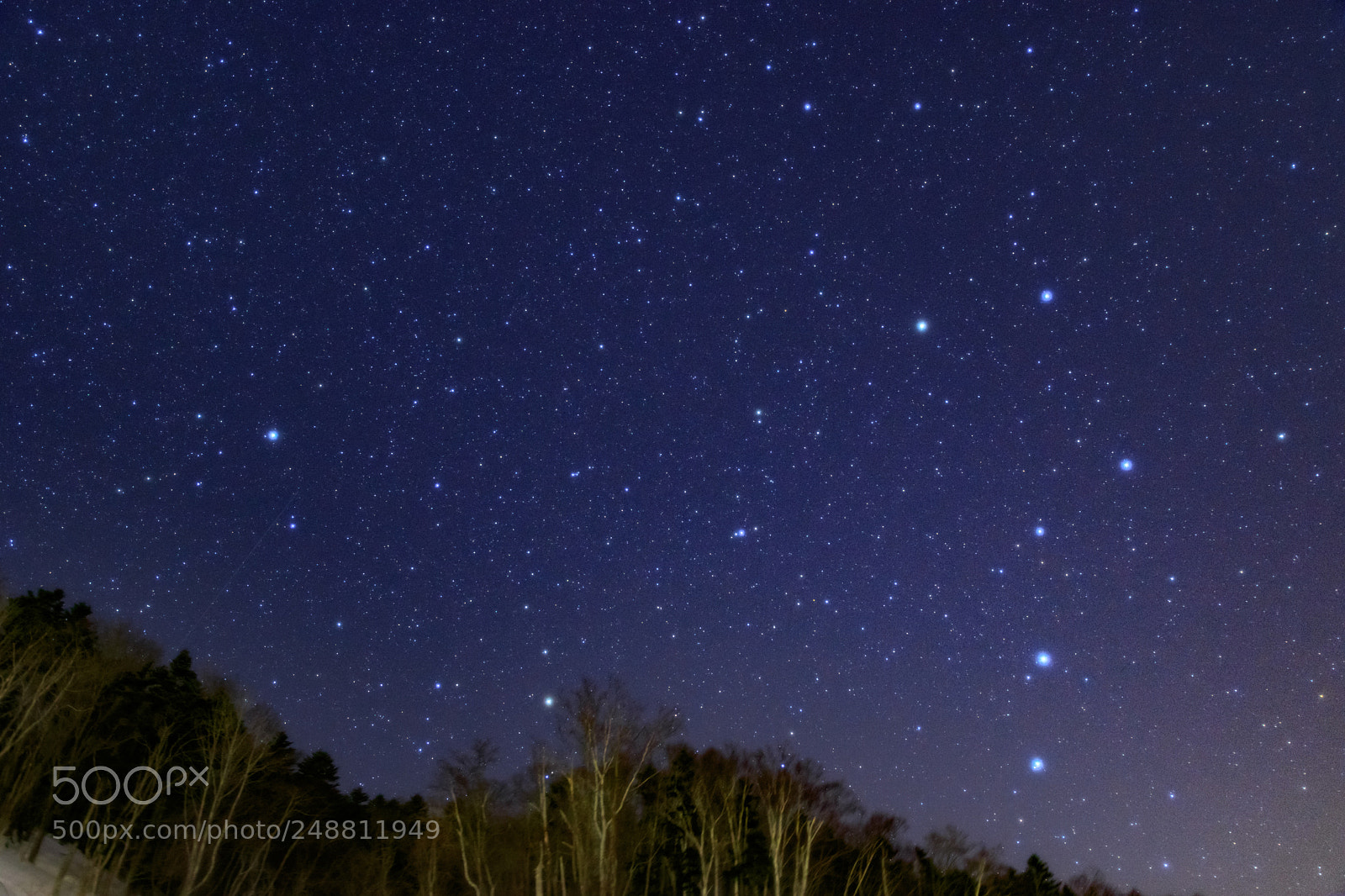 Canon EOS 7D Mark II sample photo. Starry photography
