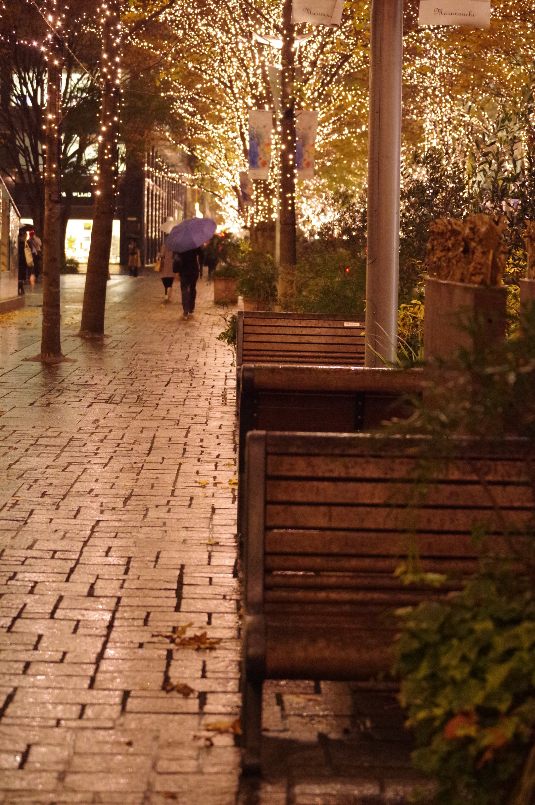 Pentax KP sample photo. Night lights in rainy day photography