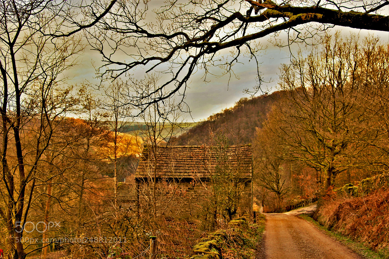 Canon EOS 100D (EOS Rebel SL1 / EOS Kiss X7) sample photo. Cottage in the woods photography