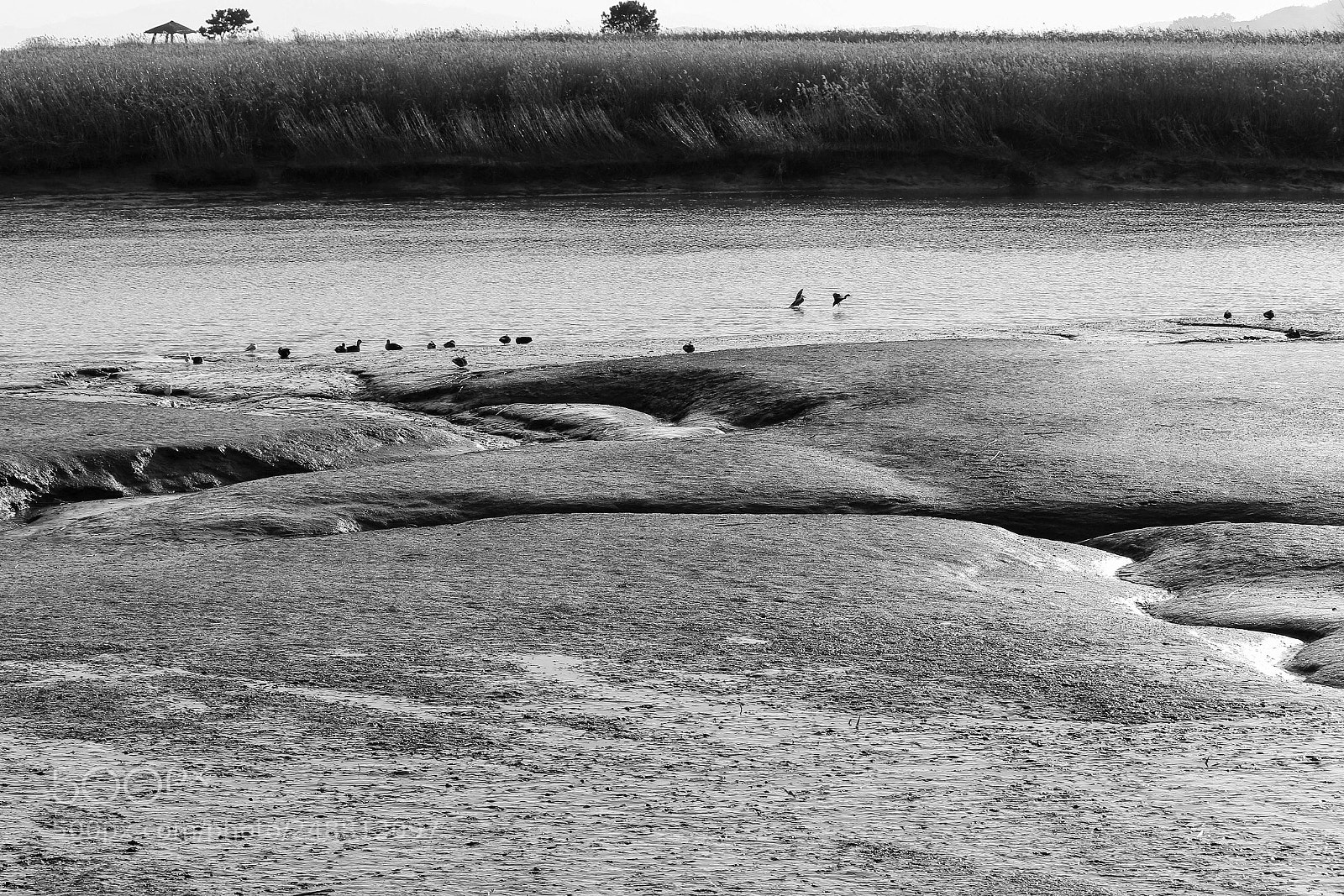 Canon EOS 100D (EOS Rebel SL1 / EOS Kiss X7) sample photo. The suncheon bay in photography
