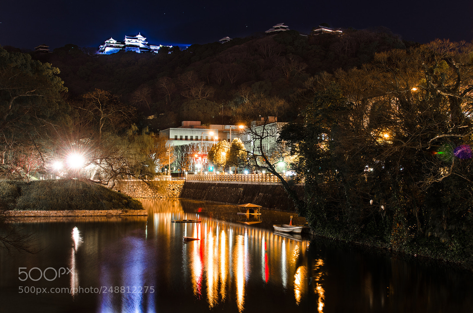 Nikon D7000 sample photo. Matsuyama castle photography