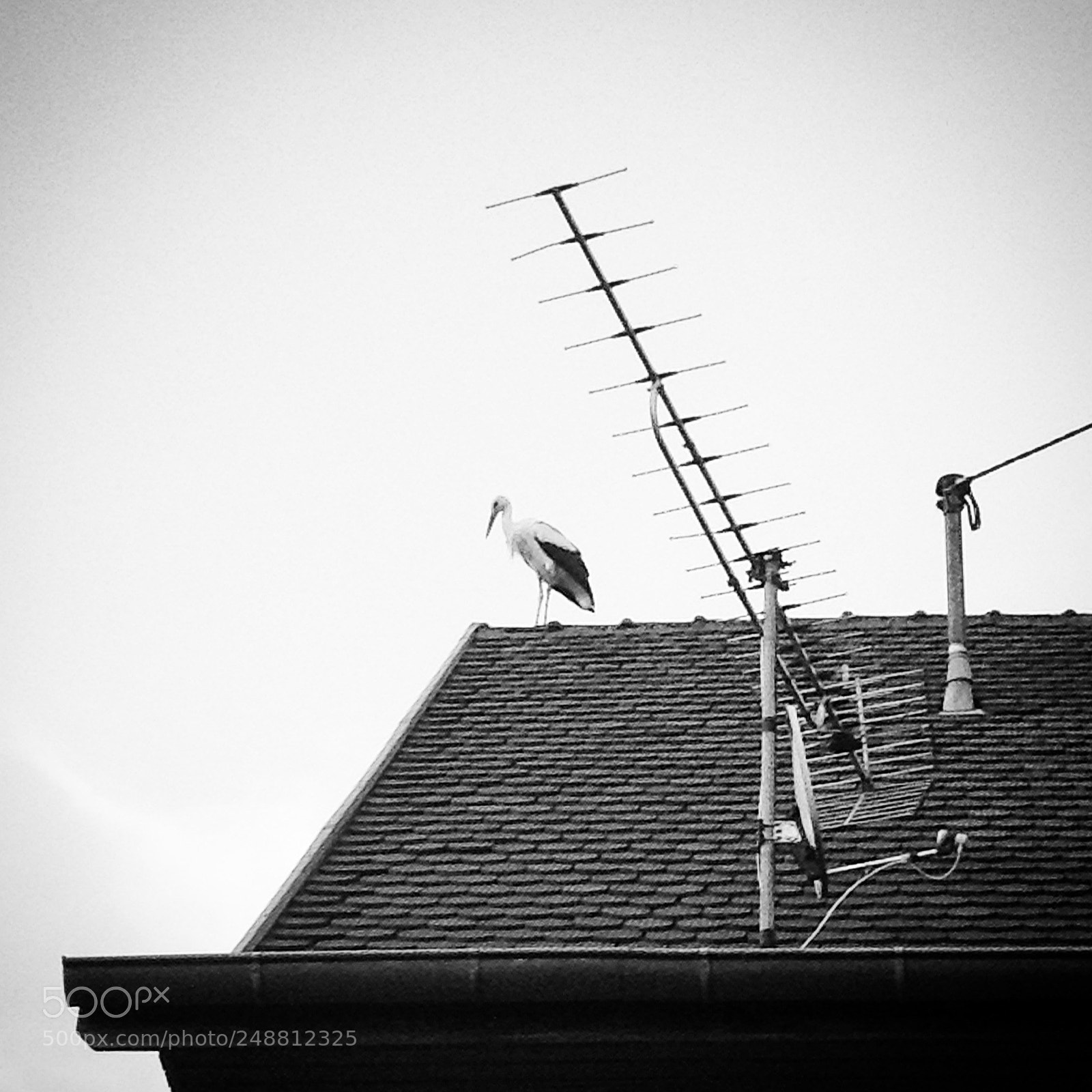 Apple iPad sample photo. Untitled photography